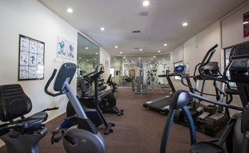 On-Site Community Fitness Center at Cinnamon Tree Apartments in Albuquerque, MN
